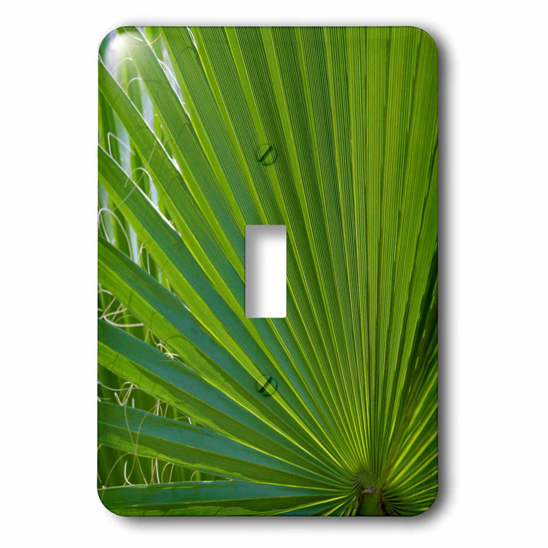 3drose Detail Palm Tree Frond 1 Gang Toggle Light Switch Wall Plate Wayfair