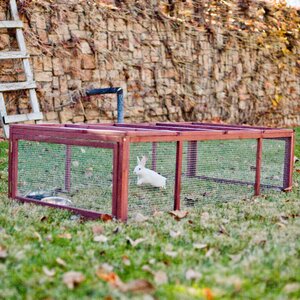 Harry The Courtyard Small Animal Enclosure