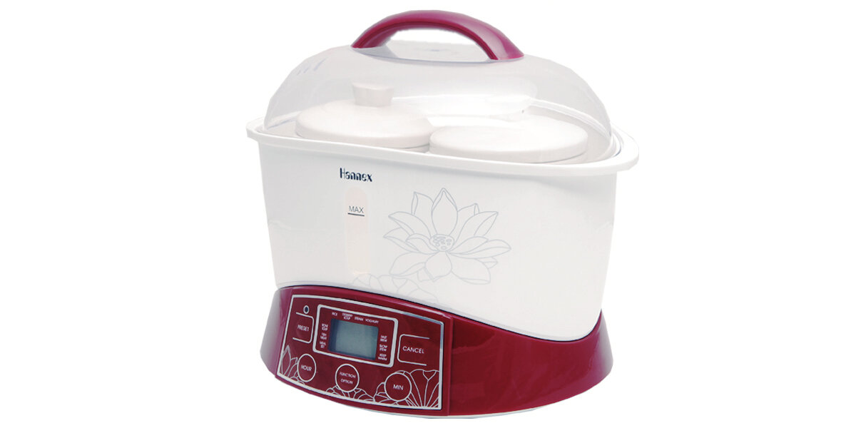 hannex slow cooker