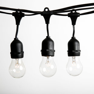 Go to store & view more images 50 ft. 25-Light Standard String Lights by Hometown Evolution, Inc.