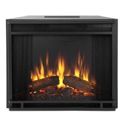 Real Flame Electric Fireplace Insert Reviews Wayfair