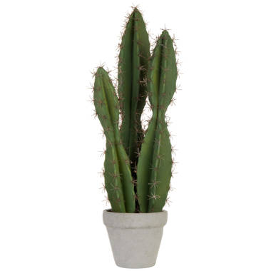 stereo silent Mystery Millwood Pines Artificial Dusty Cactus Succulent Plant in Decorative Vase |  Wayfair