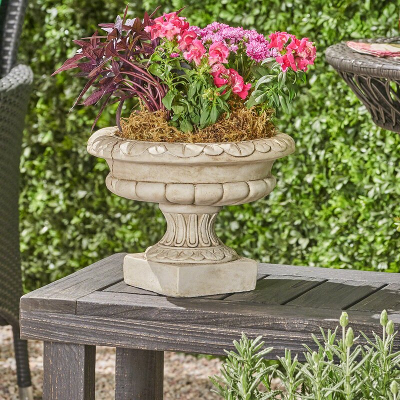 Charlton Home® Genovese Chalice Concrete Urn Planter & Reviews | Wayfair