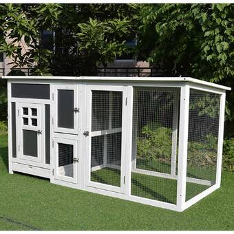 Archie Oscar Elara Large Chicken Coop Wayfaircouk