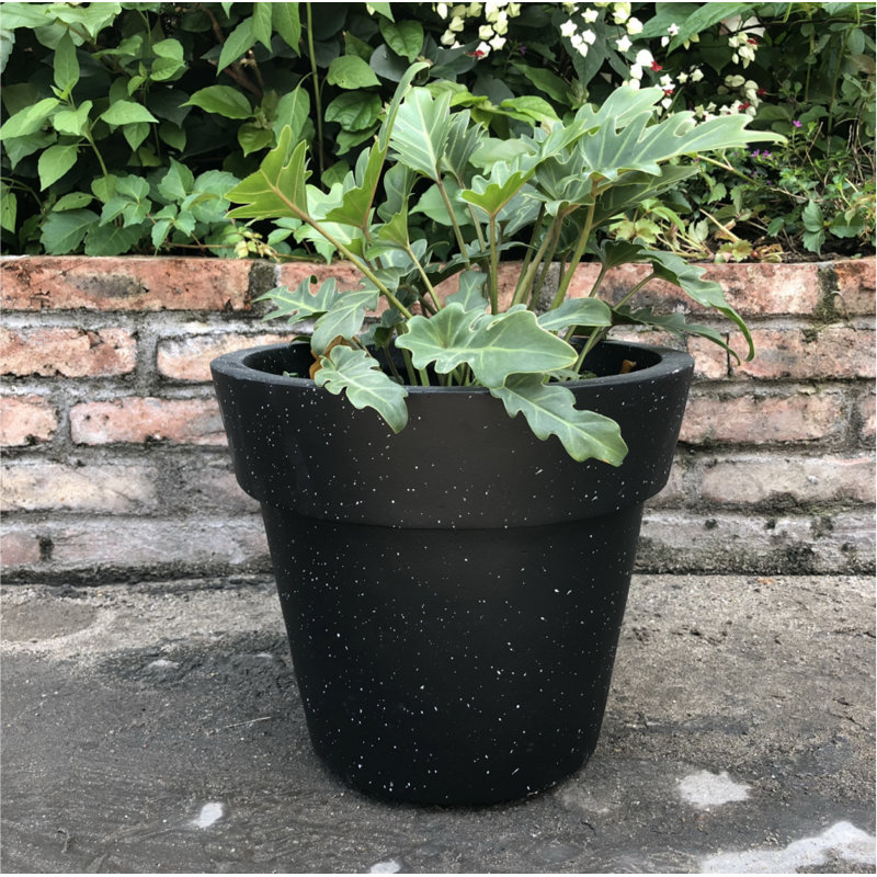 Charlton Home Nikhil Stackable Concrete Pot Planter Wayfair