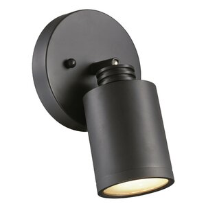Isai 1-Light Sconce