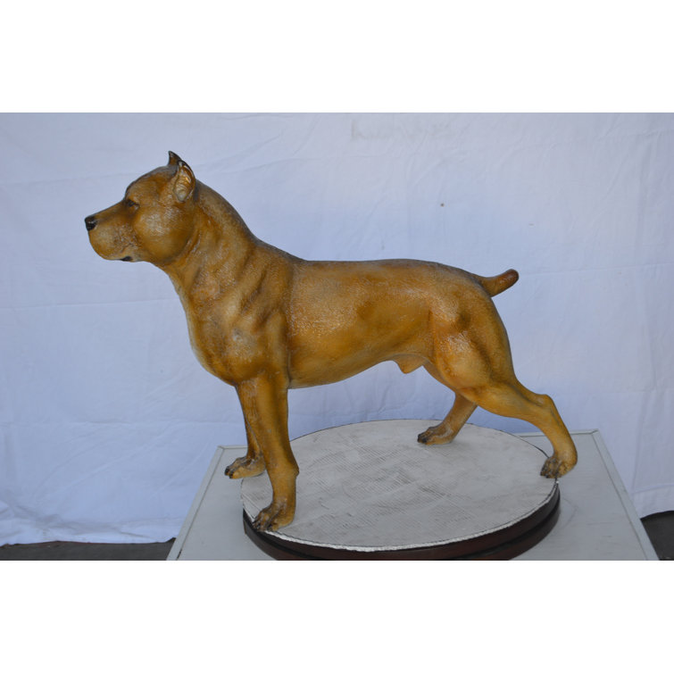 pitbull dog small size