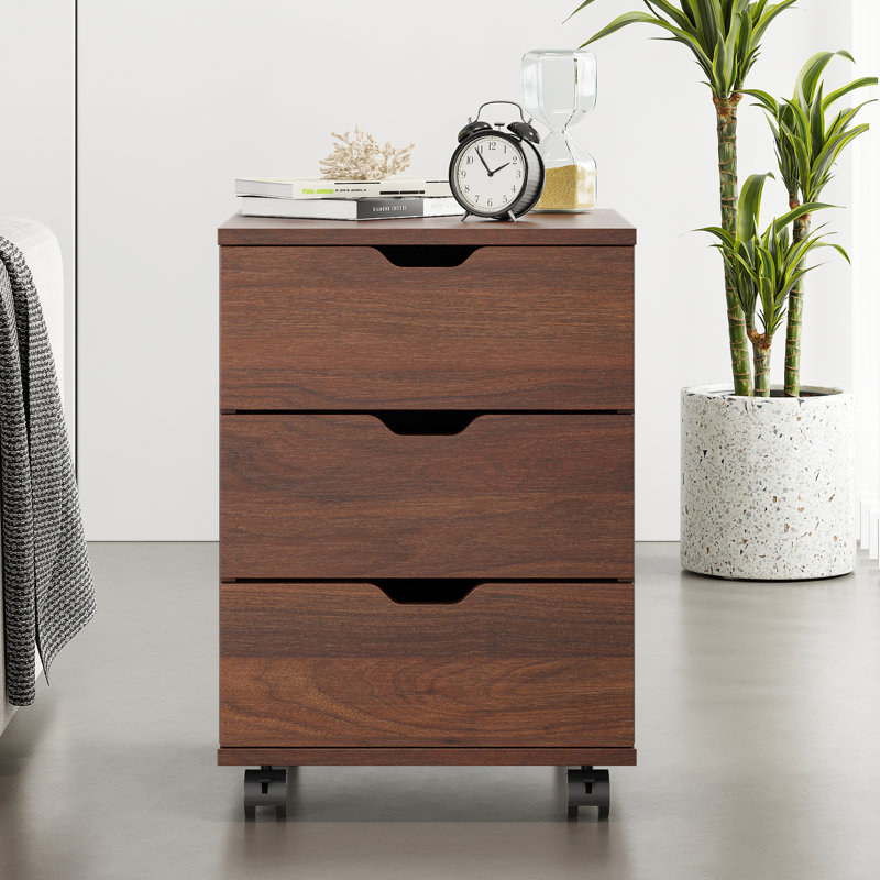 Antojuan 15.74'' Wide 3 -Drawer Mobile File Cabinet Color: Brown