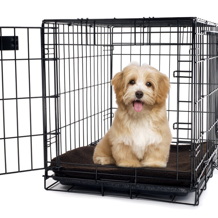 electric dog cage