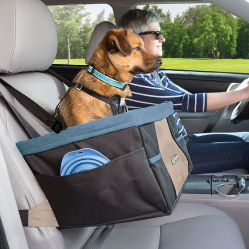 Bradly Dog Booster Seat Archie & Oscar