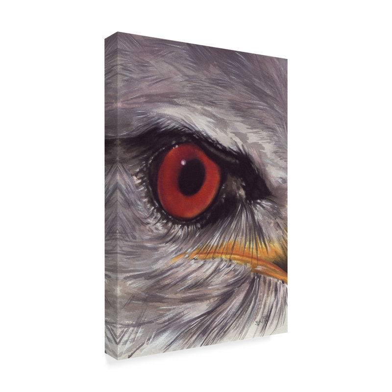 Trademark Art Eye Catching Kite Oil Painting Print On Wrapped
