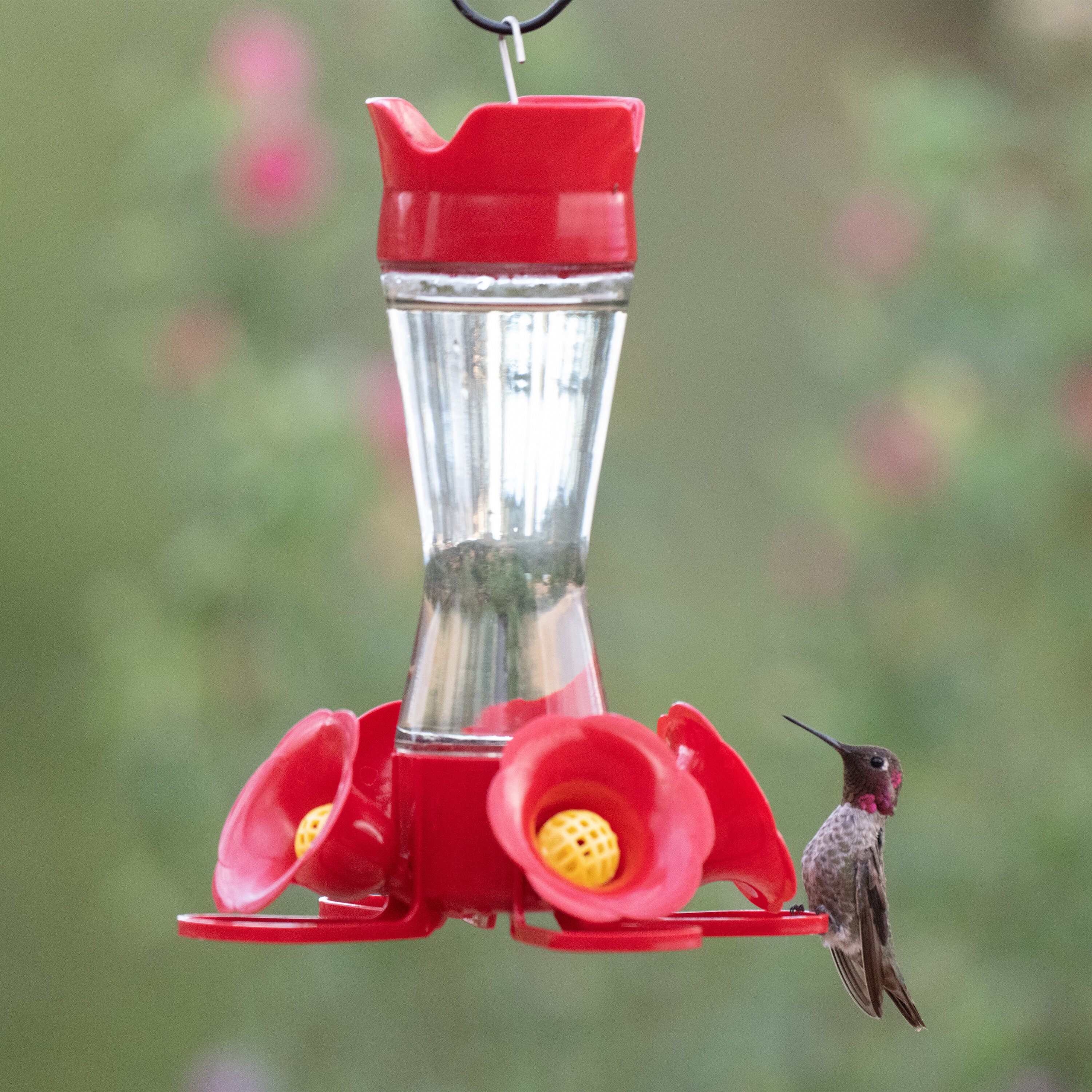 8 Oz Pinch Waist Hummingbird Nectar Feeder Hanging Bird Birds Glass Bee Guard 