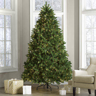 Christmas Trees You Ll Love Wayfair 7 5 Green Spruce Artificial Christmas Tree With 750 Clear Lights