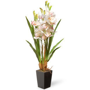 Faux Orchids Wayfair Spring Faux Orchid Flowers In Pot