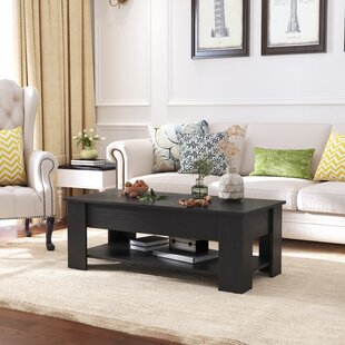Kerstien Lift Top Coffee Table with Storage