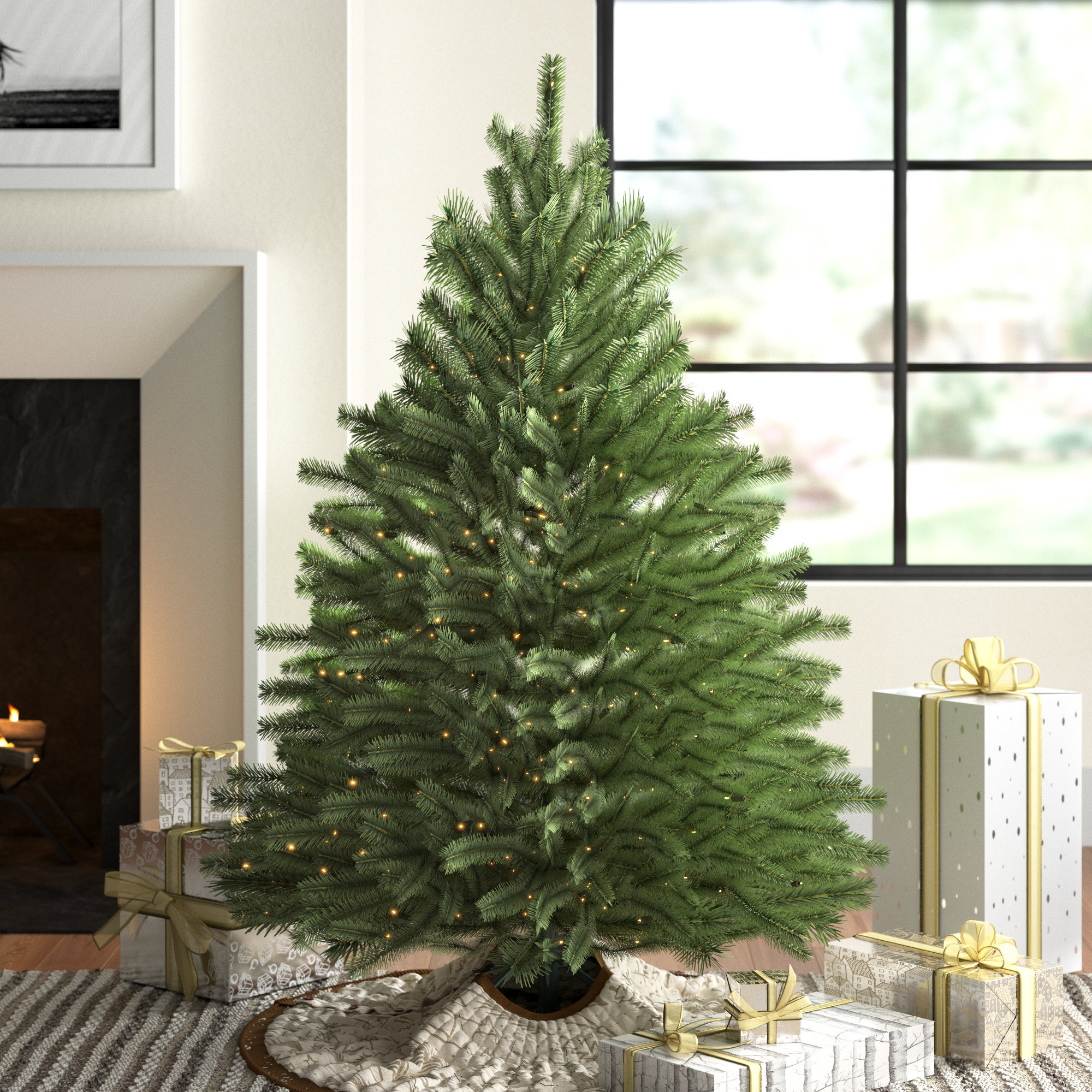 douglas fir christmas tree