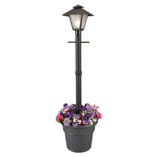 Best Cape Cod Outdoor 1-Light 80 Post Light By Patio Living Concepts Outdoor Lighting Cape Cod Outdoor 1-Light 80 Post Light By Patio Living Concepts Outdoor Lighting