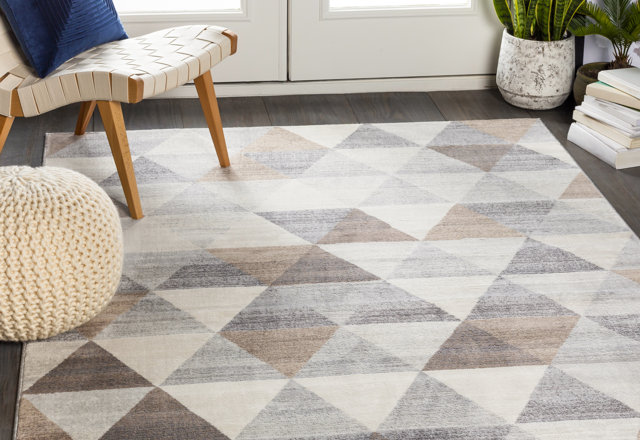 Large Area Rugs Under $99