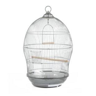 hanging bird cage large