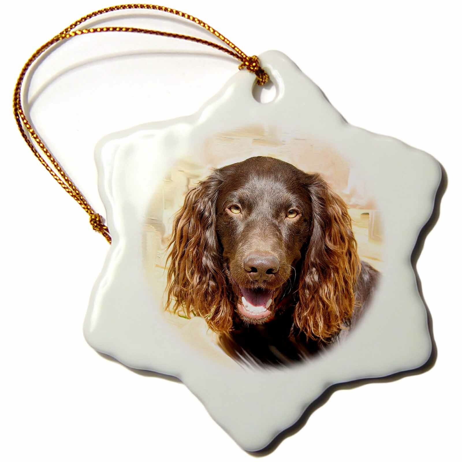 boykin spaniel christmas ornament