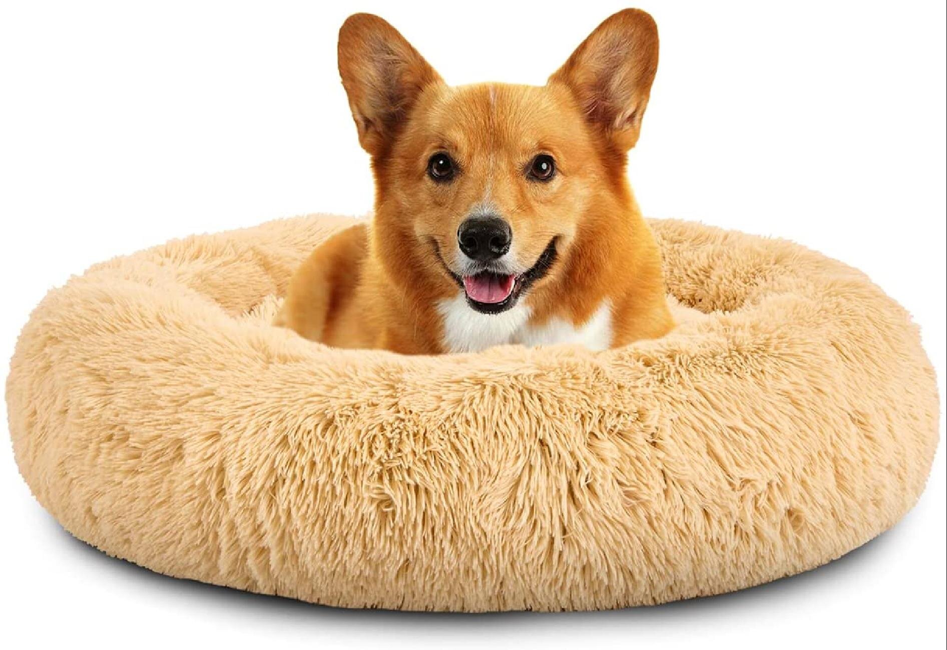 Tucker Murphy Pet Dog Beds Calming Pet Beds L Xl Xxl Xxxl For Large Medium Small Dogs Faux Fur Cuddler Outdoor Round Washable Cat Beds With Removable Blanket Wayfair