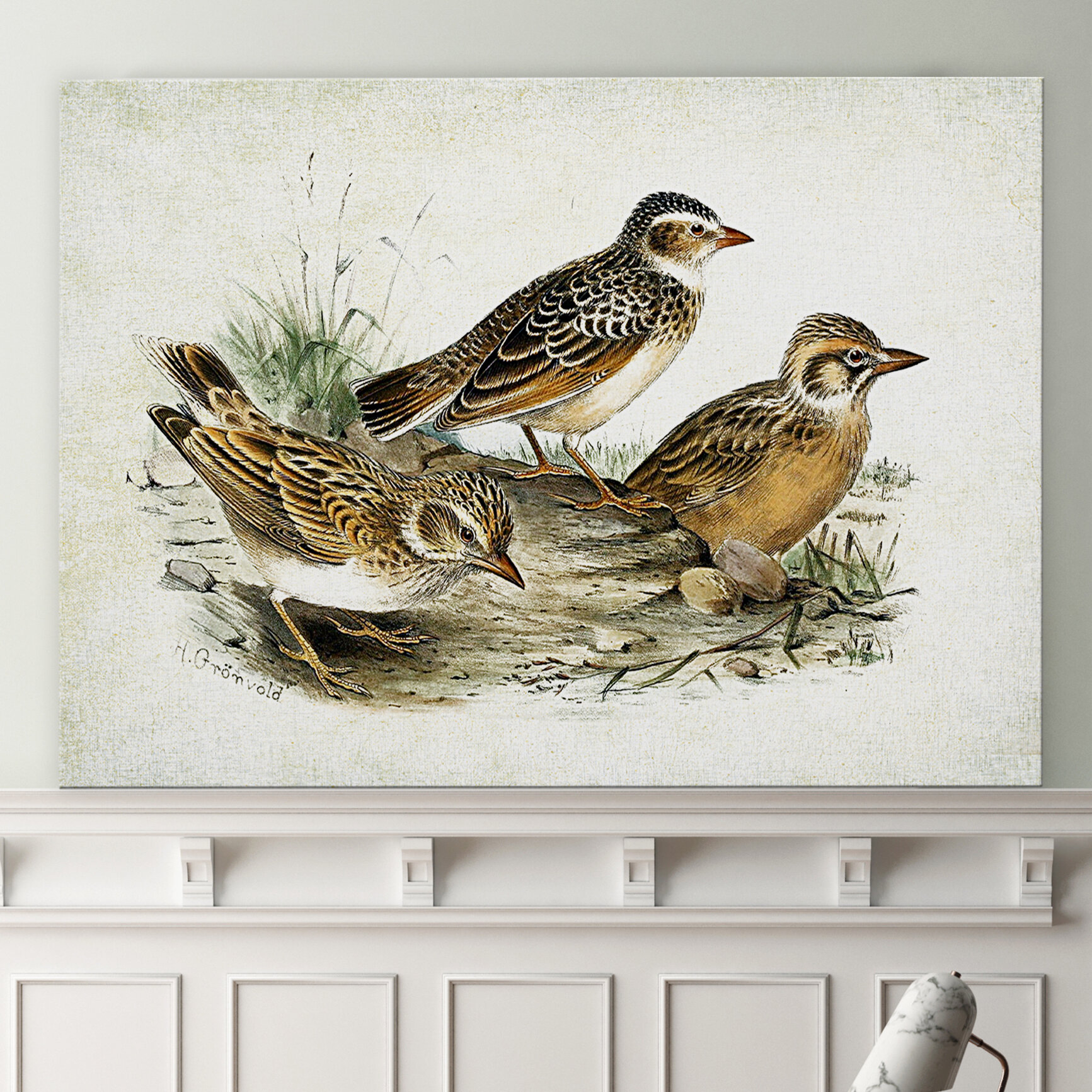 Red Barrel Studio® Aviary Sketch XIII - Graphic Art on Canvas | Wayfair