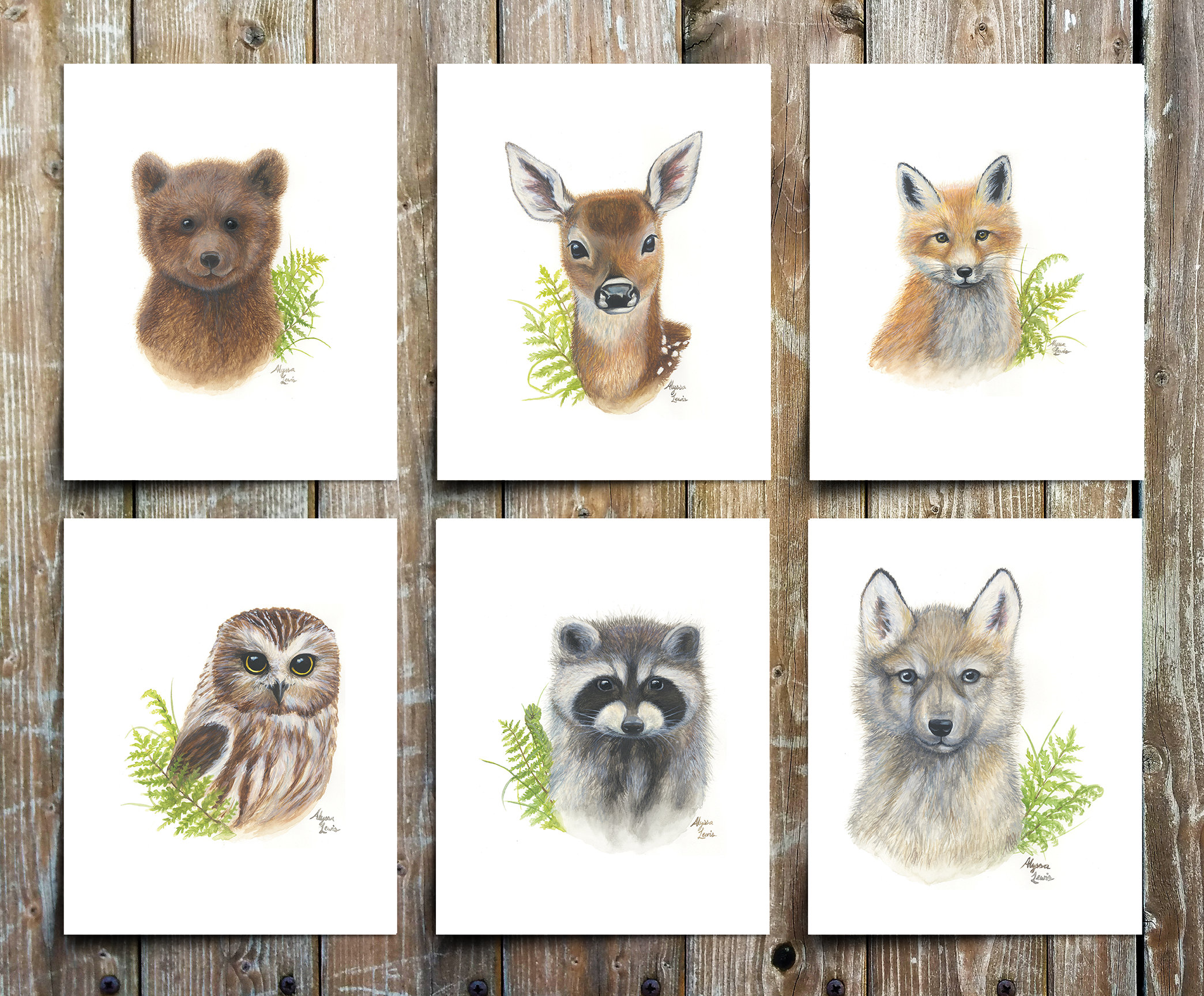 Wgi Gallery Woodland Littles Baby Animals 6 Piece Set Paper Print Set Wayfair
