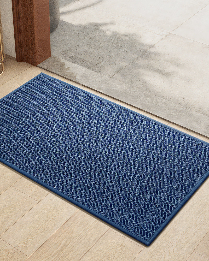 Melio Non-Slip Outdoor Doormat Color: Blue, Mat Size: 24" W x 47" L