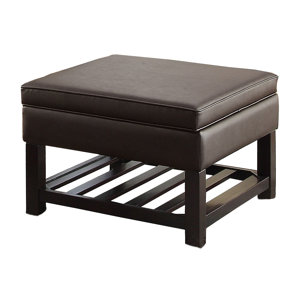Bobkona Neon Storage Ottoman