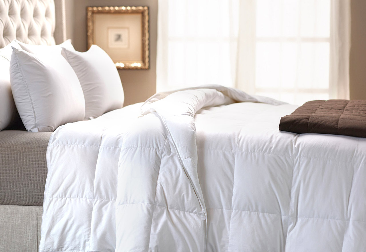 [BIG SALE] TopRated Bedding Basics You’ll Love In 2022 Wayfair