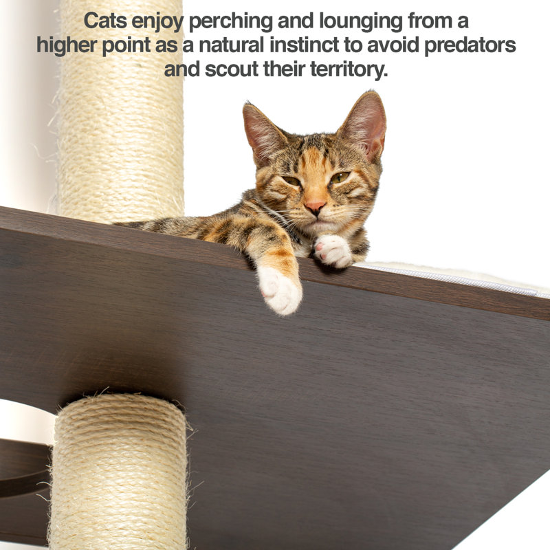 Petfusion 77 Ultimate Climbing Tower Activity Cat Tree