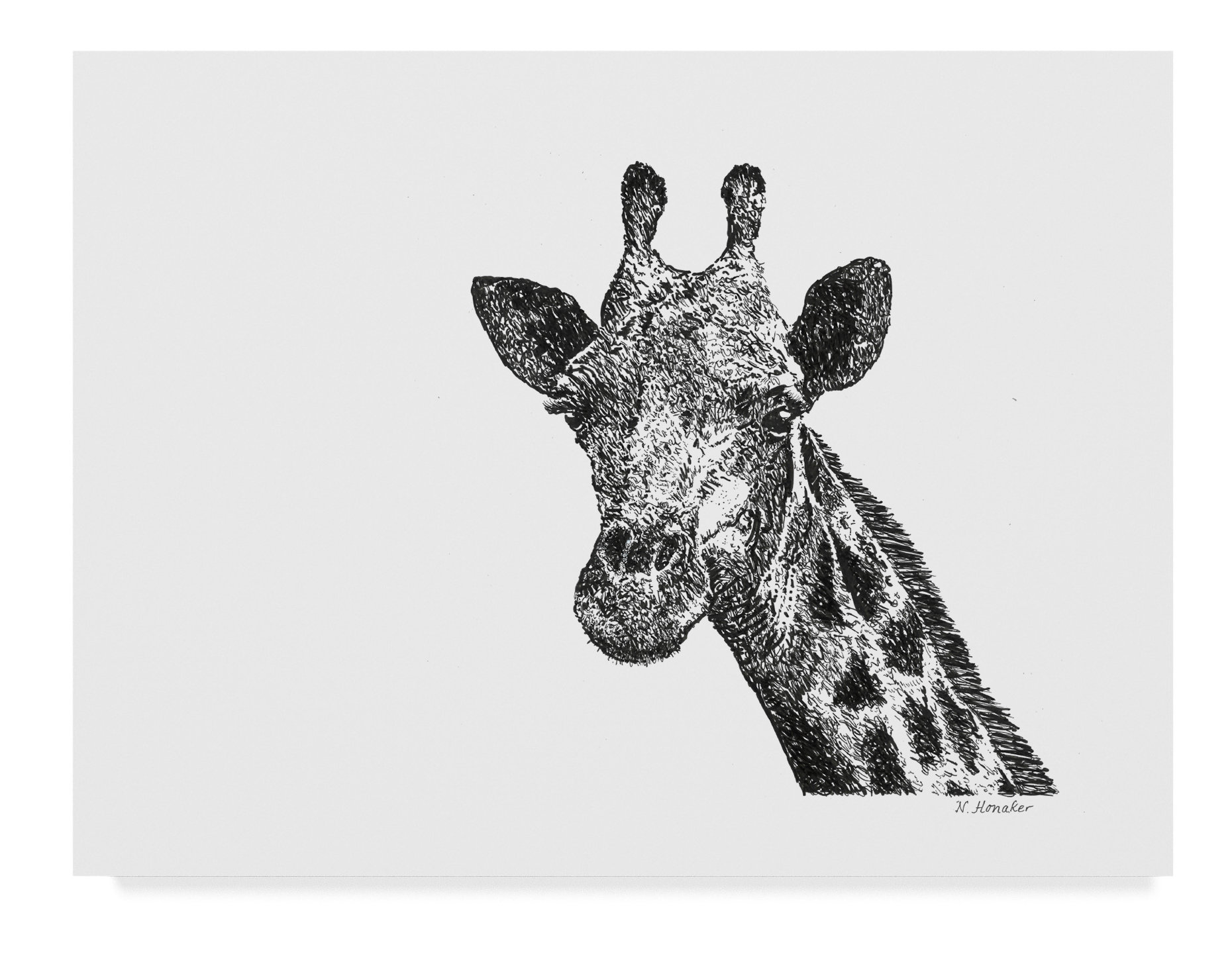 East Urban Home Giraffe Line Art Graphic Art Print On Wrapped Canvas Wayfair