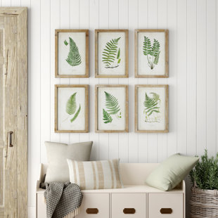 Farmhouse Rustic Ferns Wall Art Birch Lane