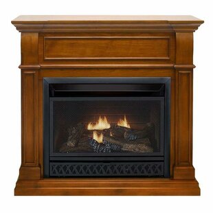 Fonda Vent Free Freestanding Natural Gas/Propane Fireplace With Remote By Darby Home Co