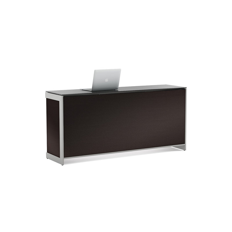 Sequel 24.5" H x 13.5" W Desk Privacy Panel
