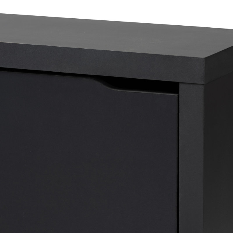 Orren Ellis Modern And Contemporary 12 Pair Shoe Storage Cabinet