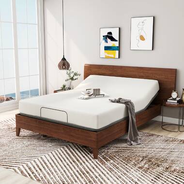 The Twillery Co.® Shreya Adjustable Bed with Wireless Remote & Reviews |  Wayfair