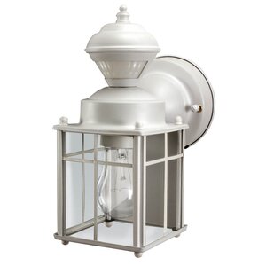 Larsen 1-Light Outdoor Wall Lantern