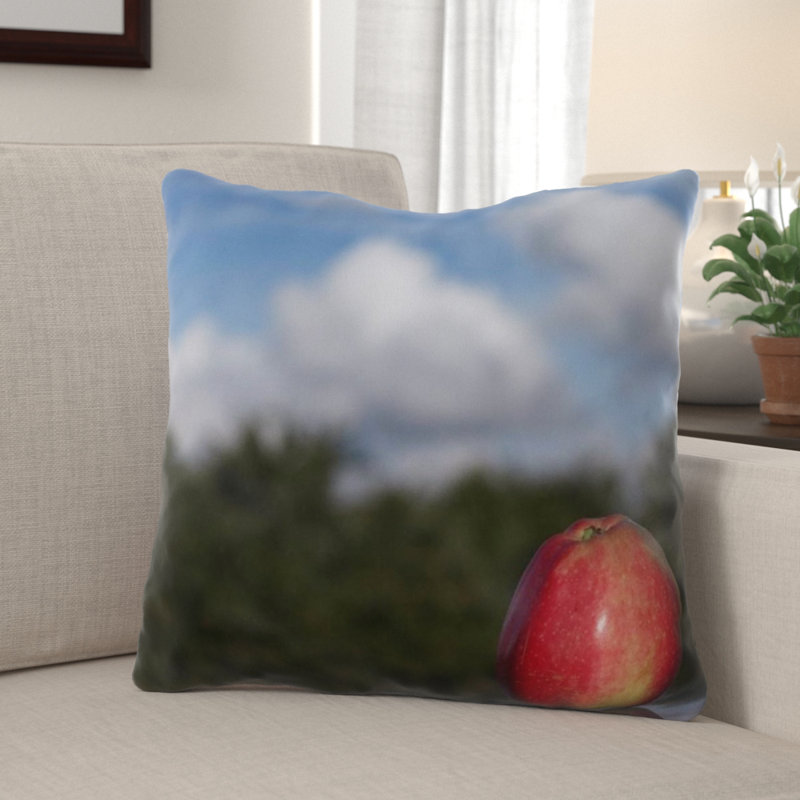 The Holiday Aisle Goudeau Apple Indoor Outdoor Throw Pillow Wayfair