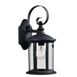 Orrin 1-Light Outdoor Wall Lantern