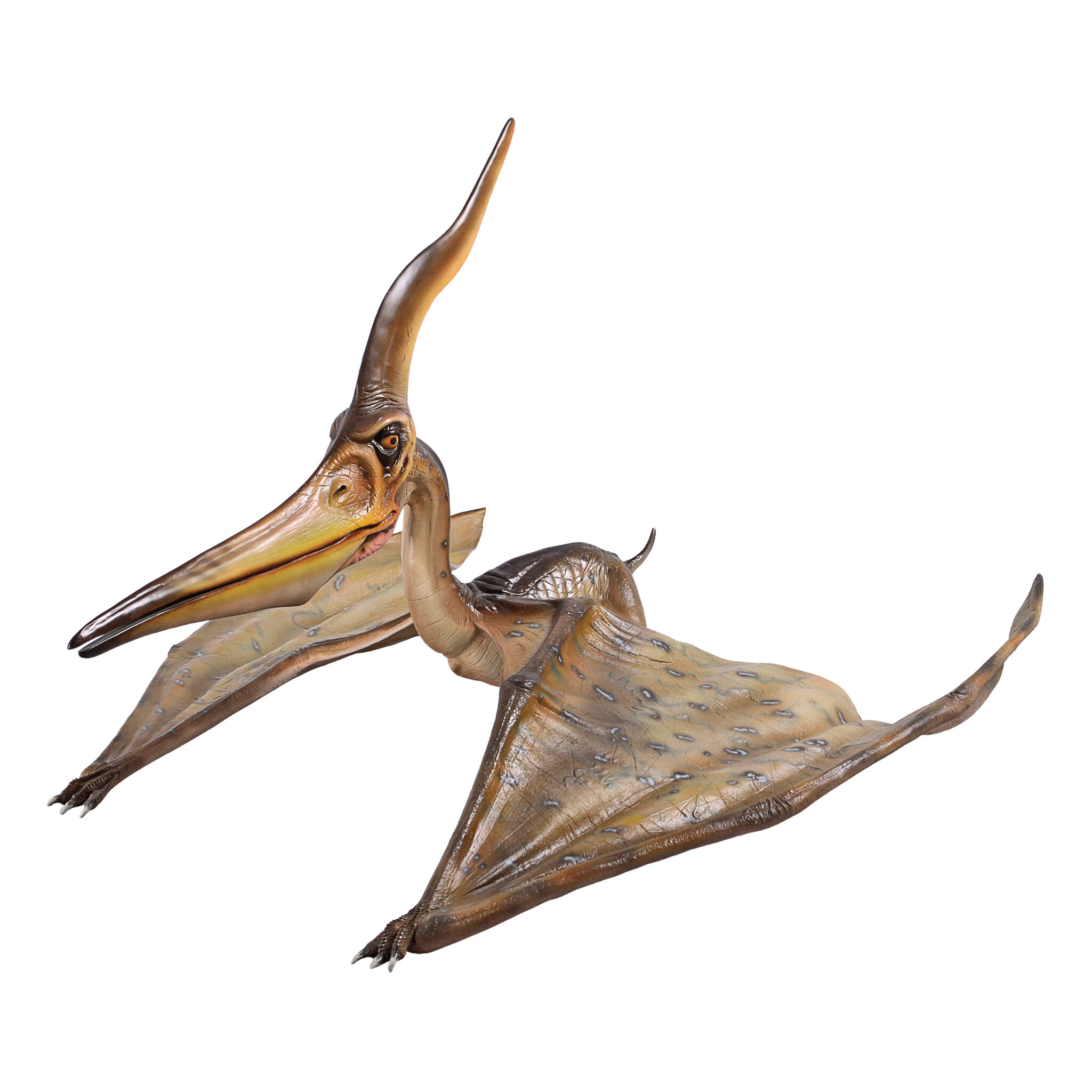 Design Toscano Jurassic Sized Flying Pteranodon Ingens Dinosaur