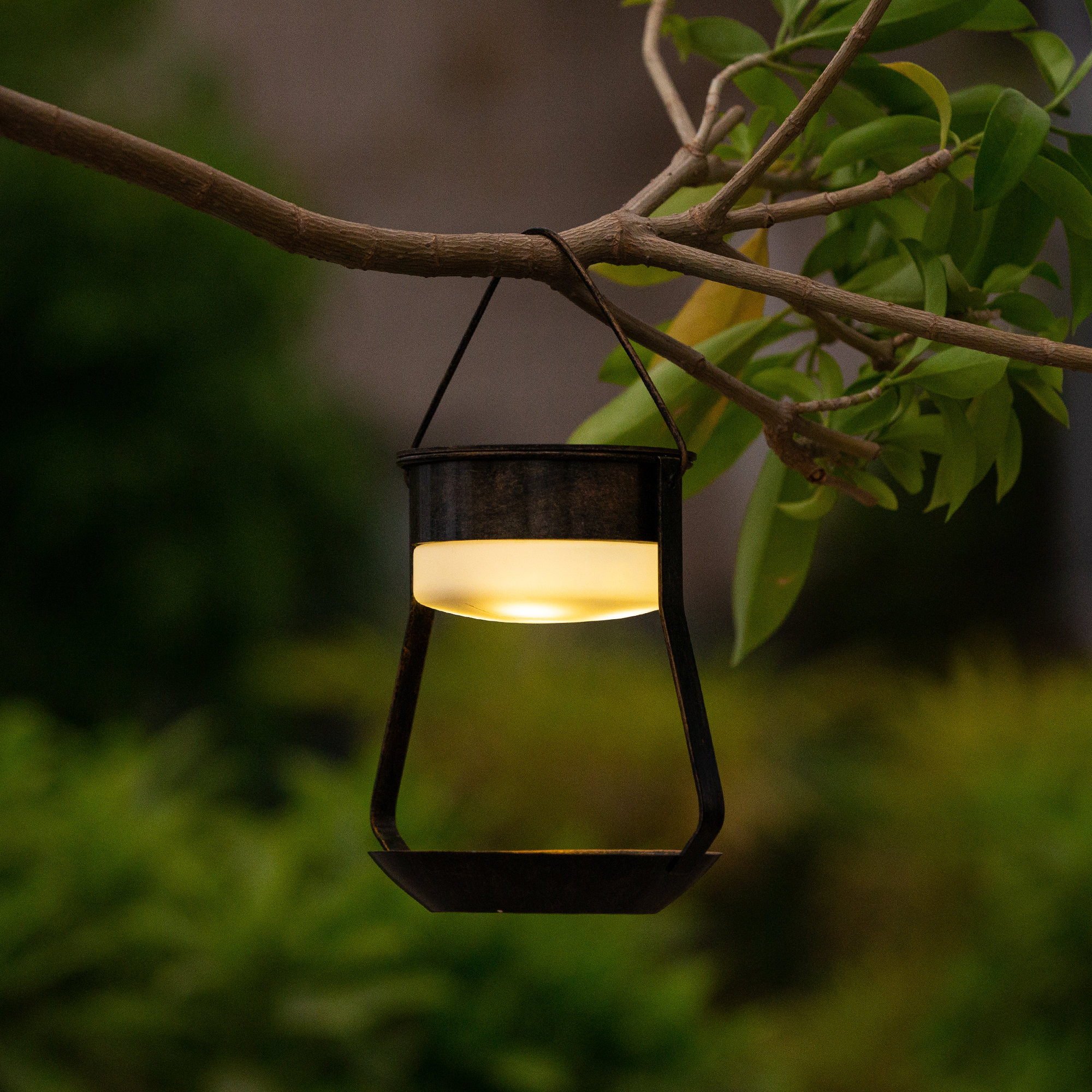 solar lanterns hanging outdoors hampton bay