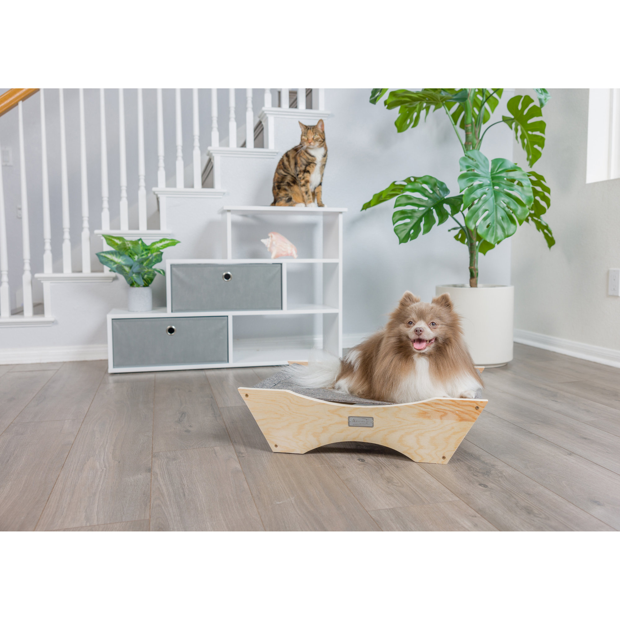 Armarkat Heated Specialty Cat Bed Wayfair