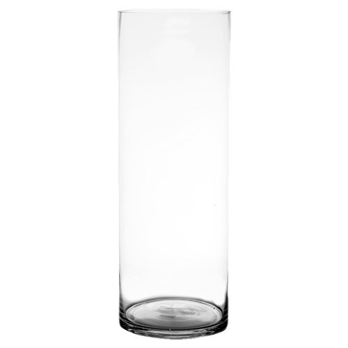 Extra Large Clear Glass Vases | Wayfair