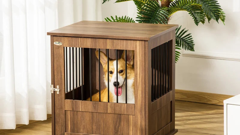 Dog Crates Buying Guide
