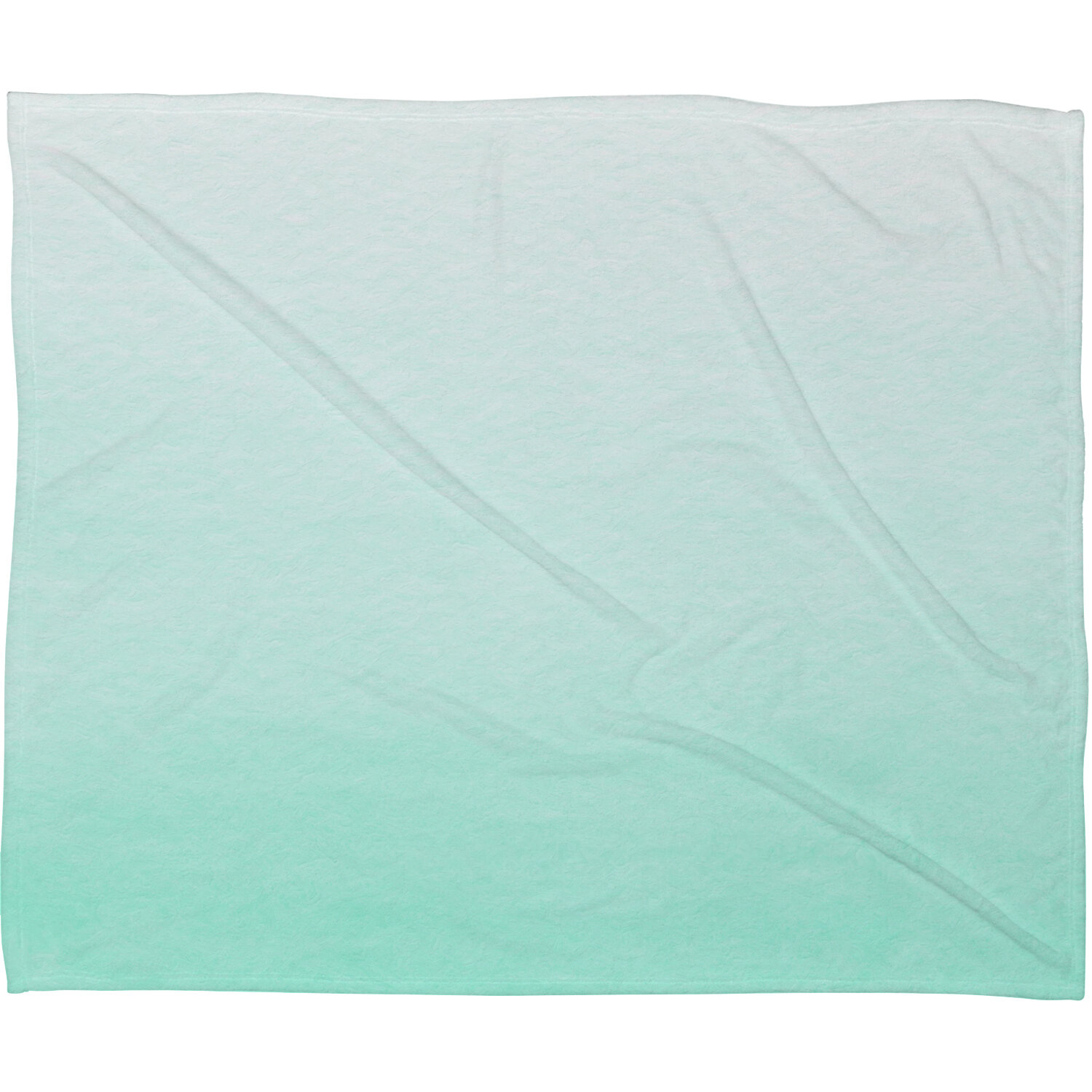 Ivy Bronx Estes Mint Ombre Blanket Reviews Wayfair