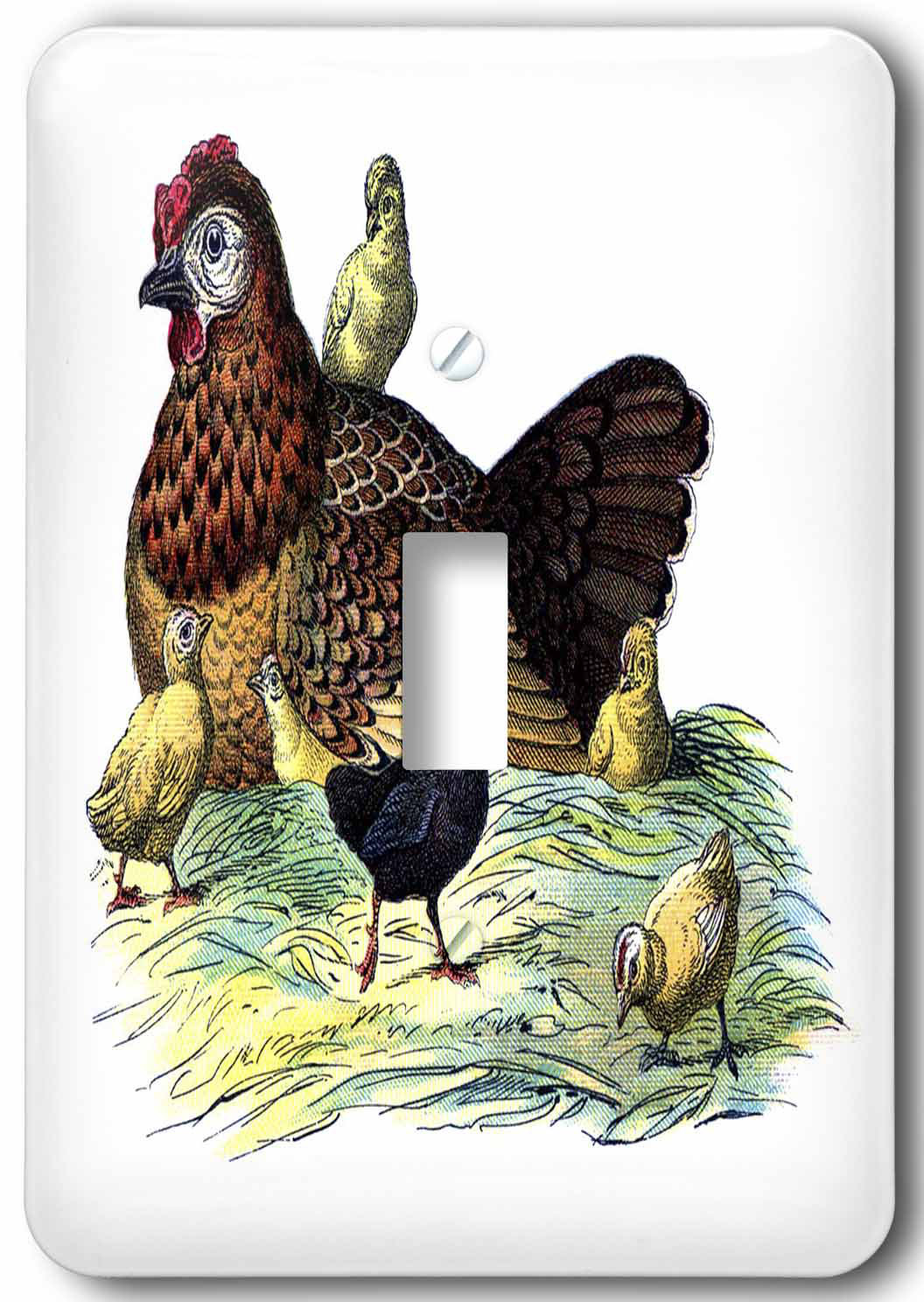3drose Chickens And Hen 1 Gang Toggle Light Switch Wall Plate Wayfair