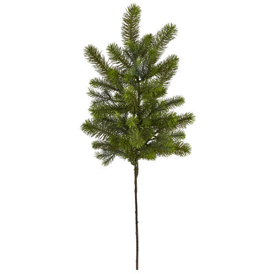Pine Stems Primrue