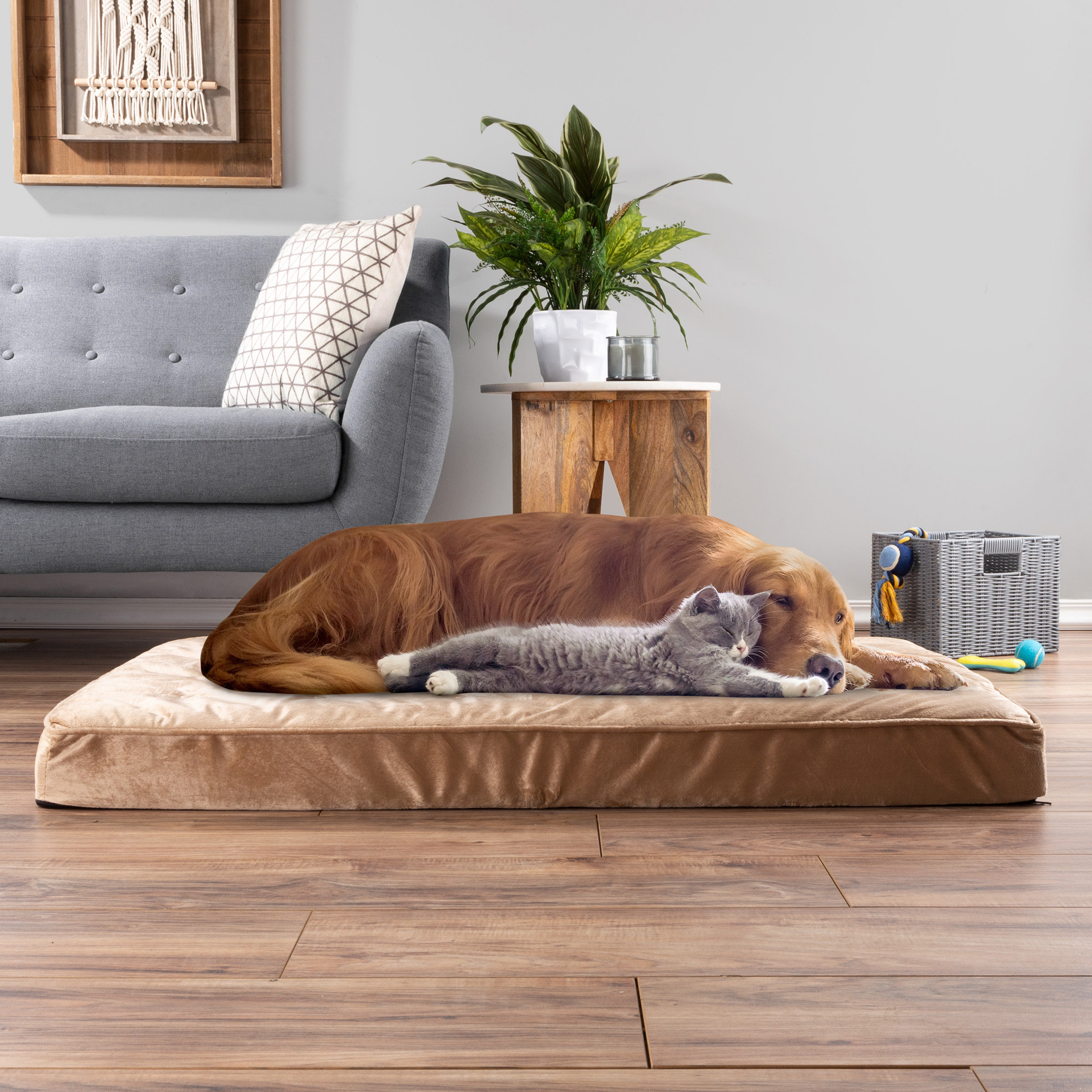 Petmaker Tufted Orthopedic Dog Pillow & Reviews Wayfair