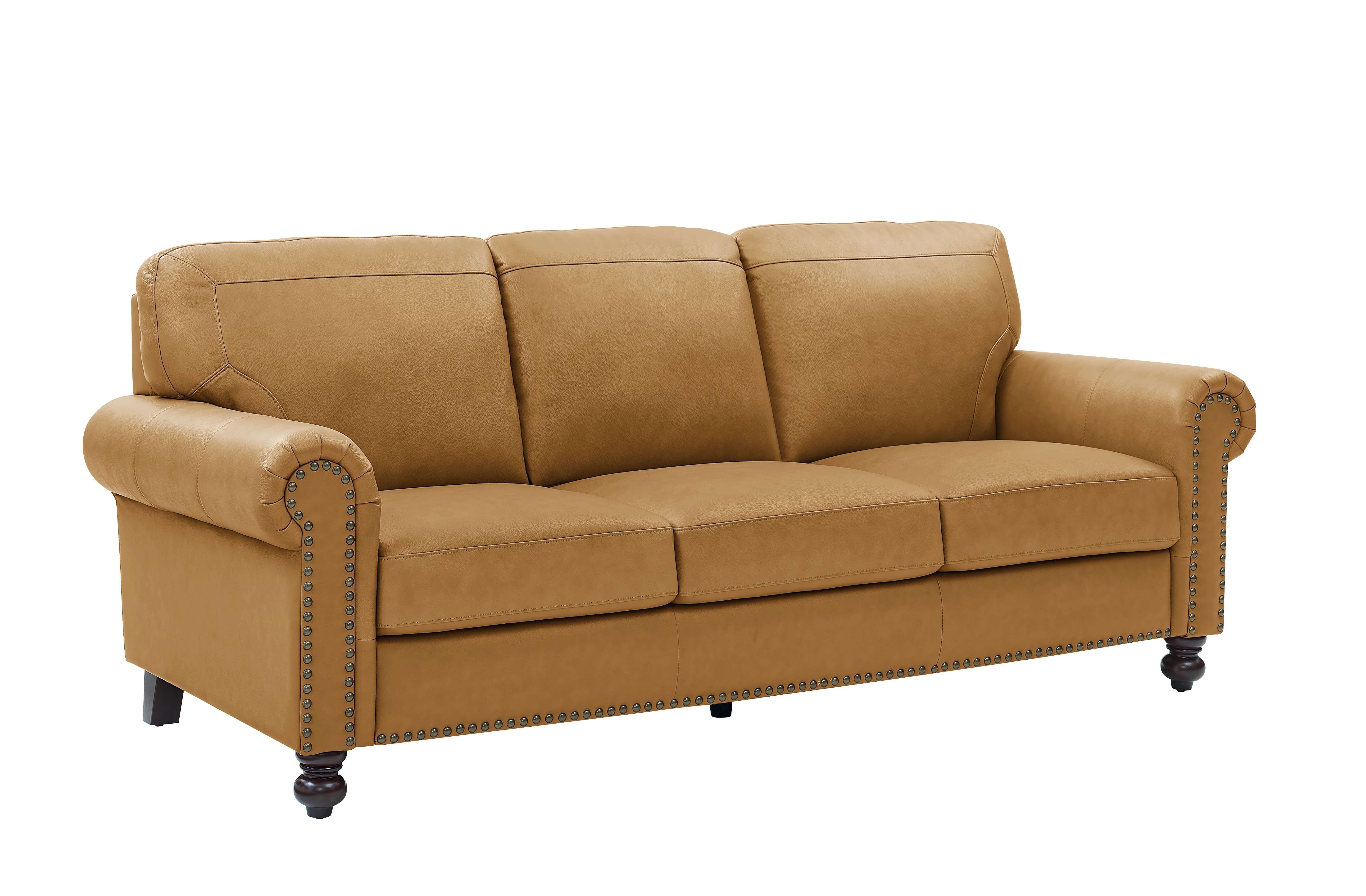 encased in genuine leather thin rolled arm sofa